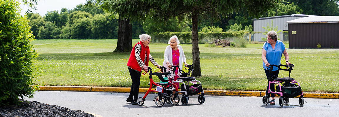 Residents participating in gentle exercise focused on mobility and wellness.